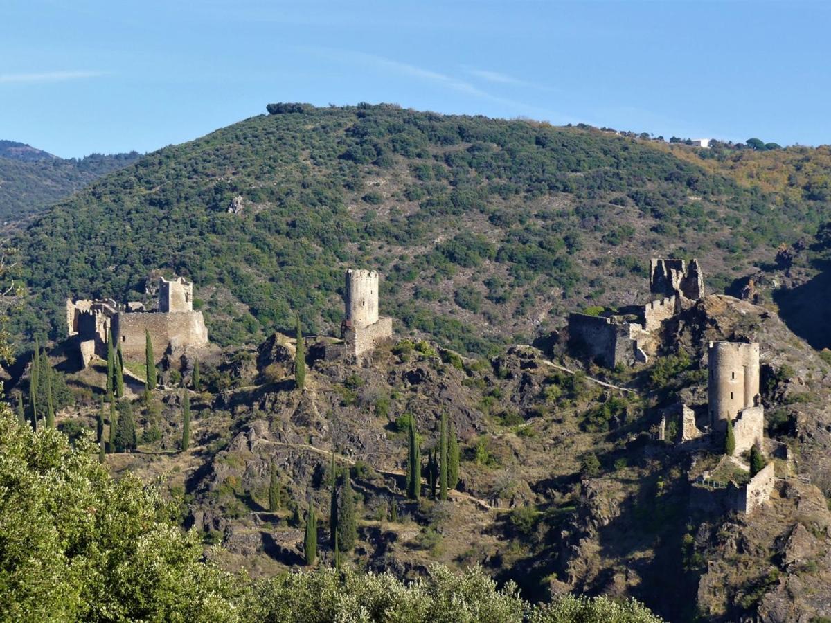 Au Soleil Couchant Villemoustaussou المظهر الخارجي الصورة